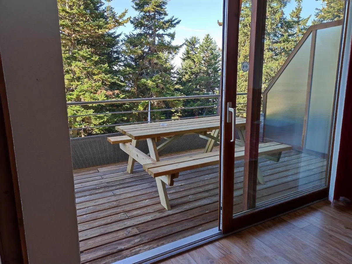 Appartement T2 bis sud - Chamrousse 1700 Bachat Bouloud France
